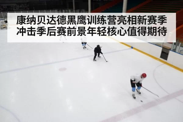 康纳贝达德黑鹰训练营亮相新赛季冲击季后赛前景年轻核心值得期待